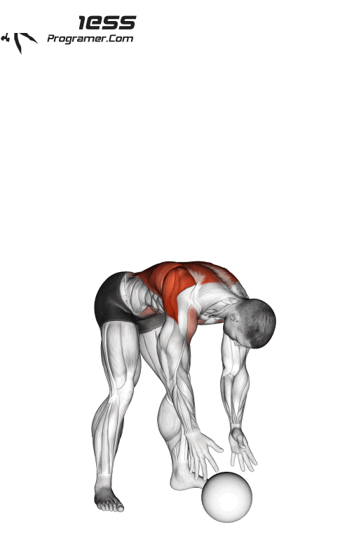 Medicine ball Overhead Slam exercise فیتِ فیت