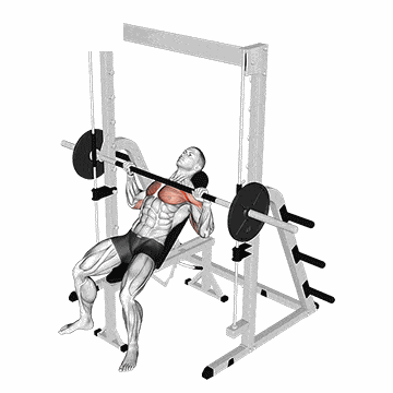 Smith Machine Incline Bench Press – فیتِ فیت