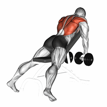 Incline Dumbbell Row – فیتِ فیت